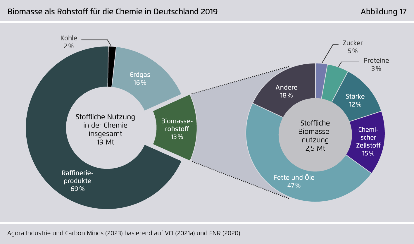 Preview for Biomasse als Rohstoff für die Chemie in Deutschland 2019