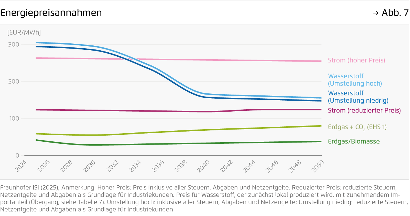 Preview for Energiepreisannahmen